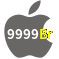 Aplicativo 9999Br para iOS
