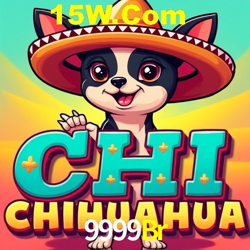 API Integration 9999Br